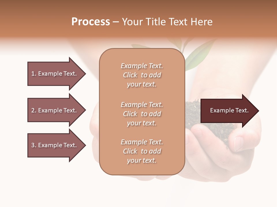 A Person Holding A Small Plant In The Studio PowerPoint Template