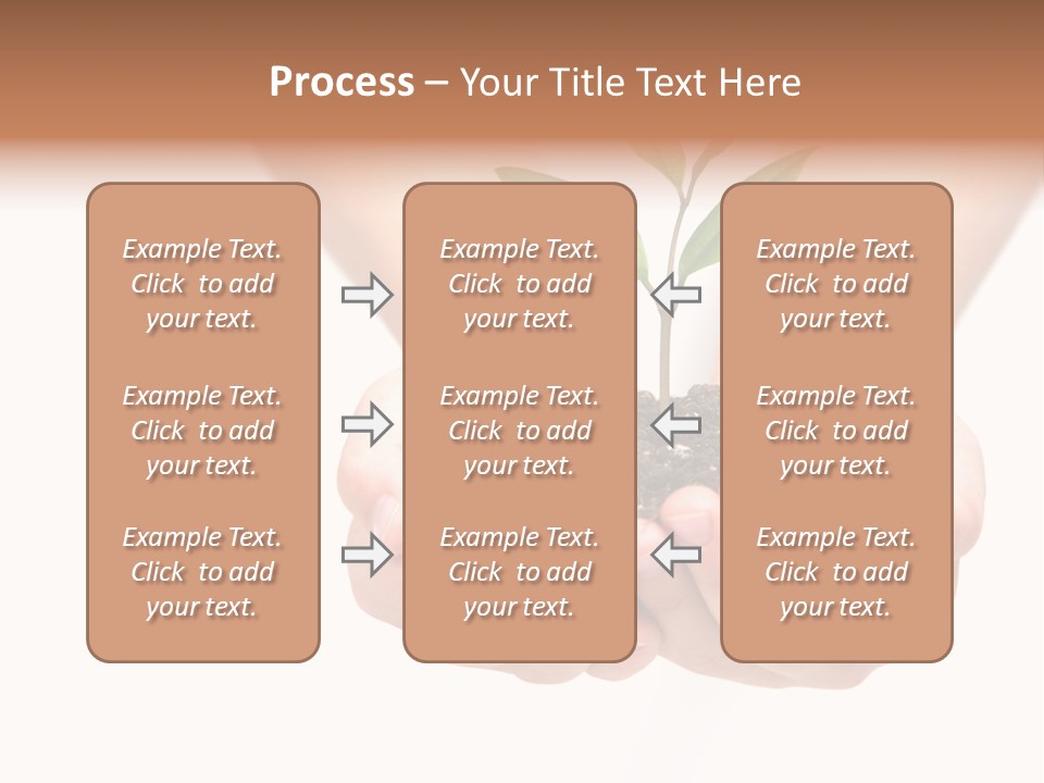 A Person Holding A Small Plant In The Studio PowerPoint Template