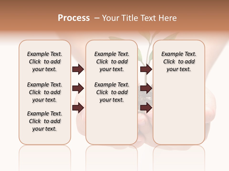 A Person Holding A Small Plant In The Studio PowerPoint Template