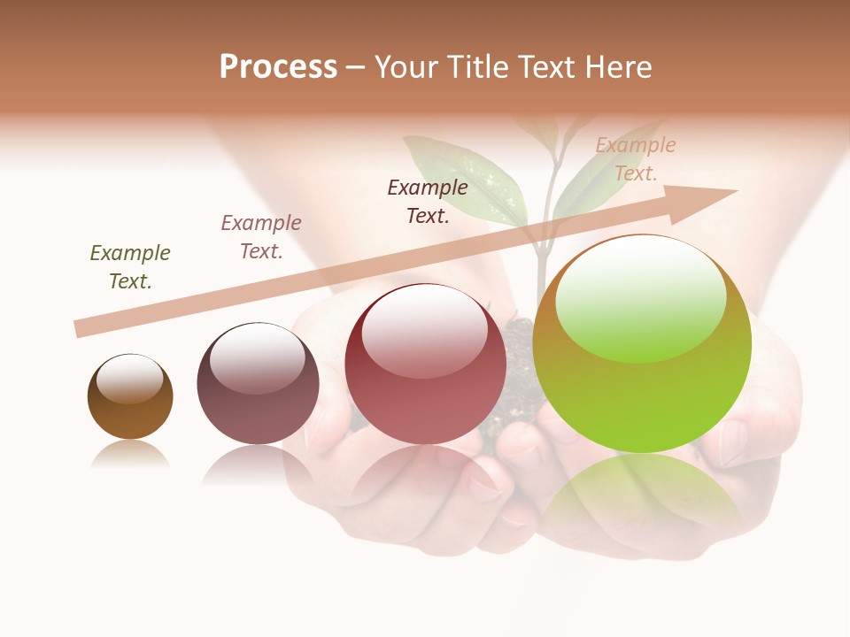 A Person Holding A Small Plant In The Studio PowerPoint Template