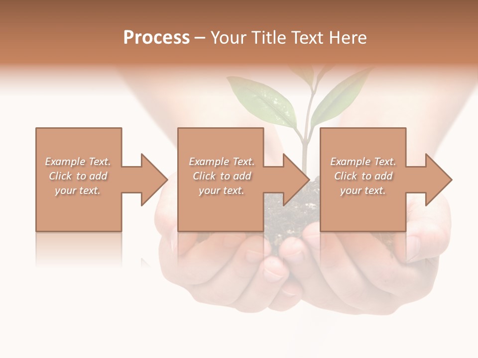 A Person Holding A Small Plant In The Studio PowerPoint Template