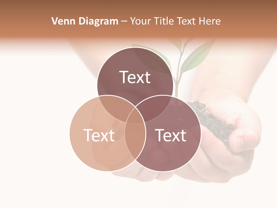 A Person Holding A Small Plant In The Studio PowerPoint Template