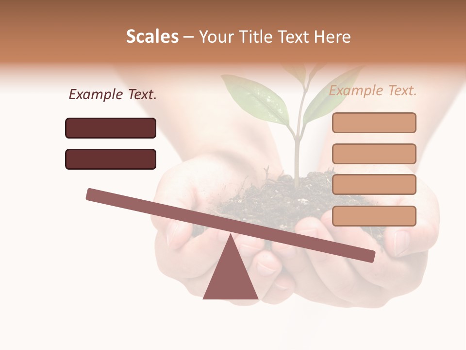 A Person Holding A Small Plant In The Studio PowerPoint Template