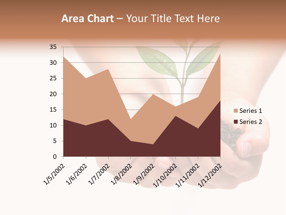 A Person Holding A Small Plant In The Studio PowerPoint Template