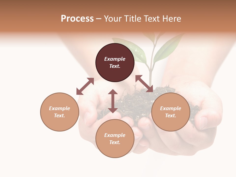 A Person Holding A Small Plant In The Studio PowerPoint Template