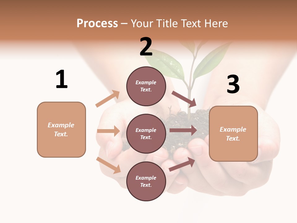 A Person Holding A Small Plant In The Studio PowerPoint Template