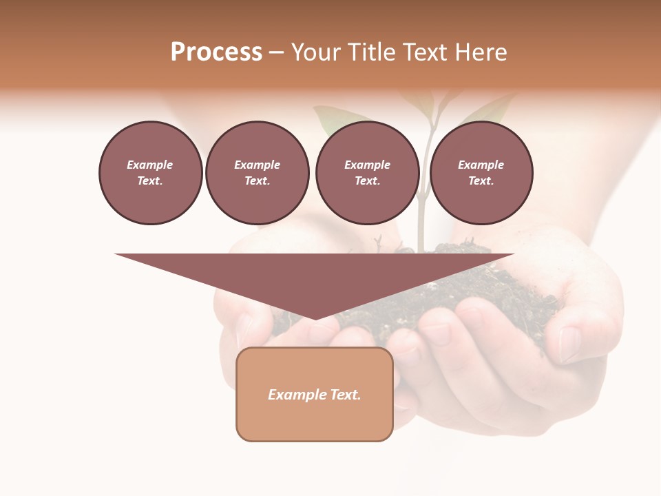 A Person Holding A Small Plant In The Studio PowerPoint Template