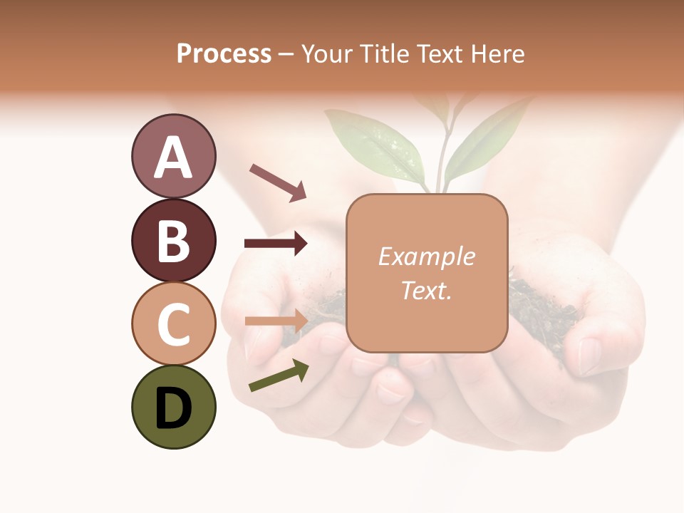 A Person Holding A Small Plant In The Studio PowerPoint Template