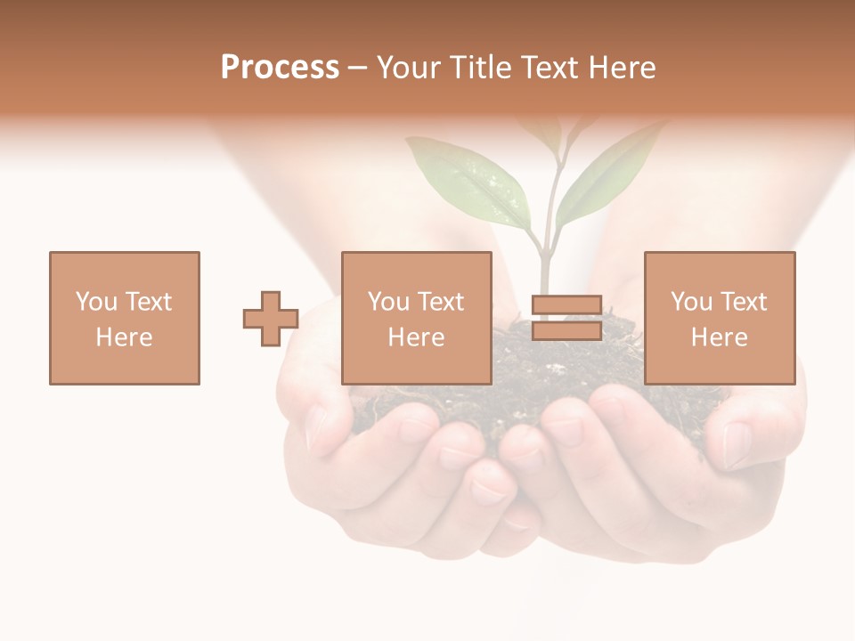 A Person Holding A Small Plant In The Studio PowerPoint Template