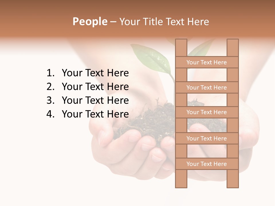 A Person Holding A Small Plant In The Studio PowerPoint Template