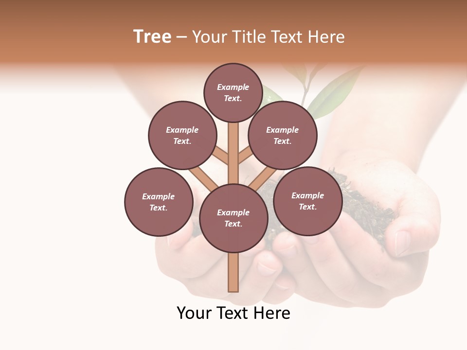 A Person Holding A Small Plant In The Studio PowerPoint Template