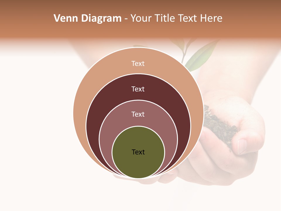 A Person Holding A Small Plant In The Studio PowerPoint Template