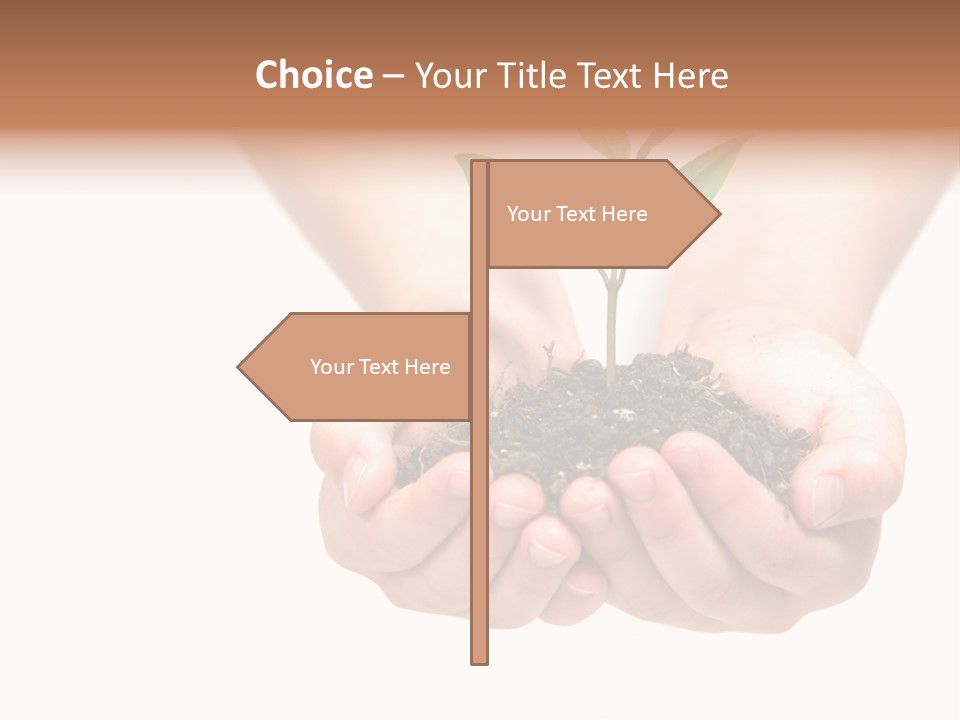 A Person Holding A Small Plant In The Studio PowerPoint Template