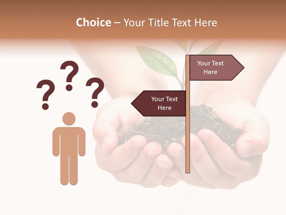 A Person Holding A Small Plant In The Studio PowerPoint Template