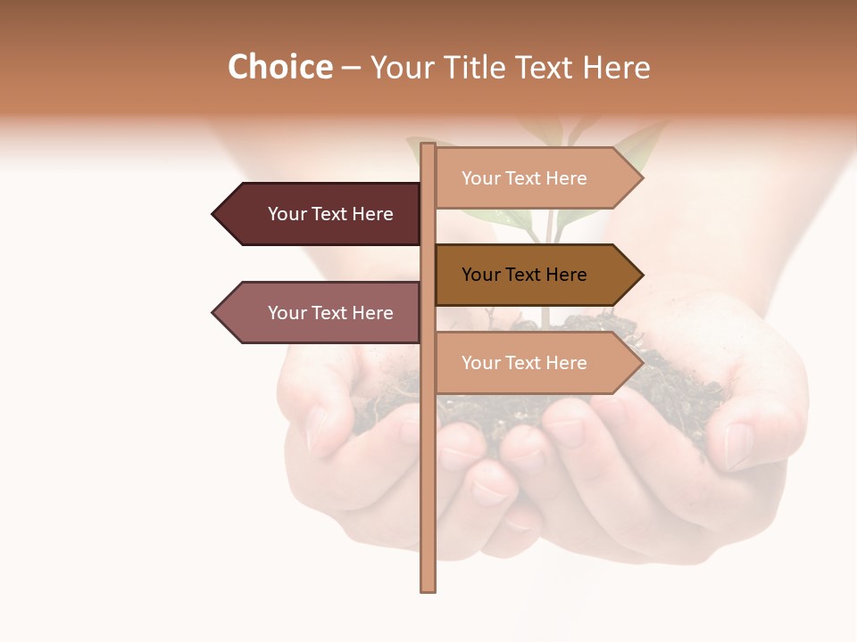 A Person Holding A Small Plant In The Studio PowerPoint Template