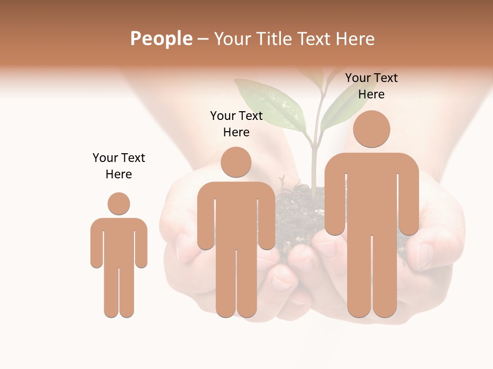 A Person Holding A Small Plant In The Studio PowerPoint Template
