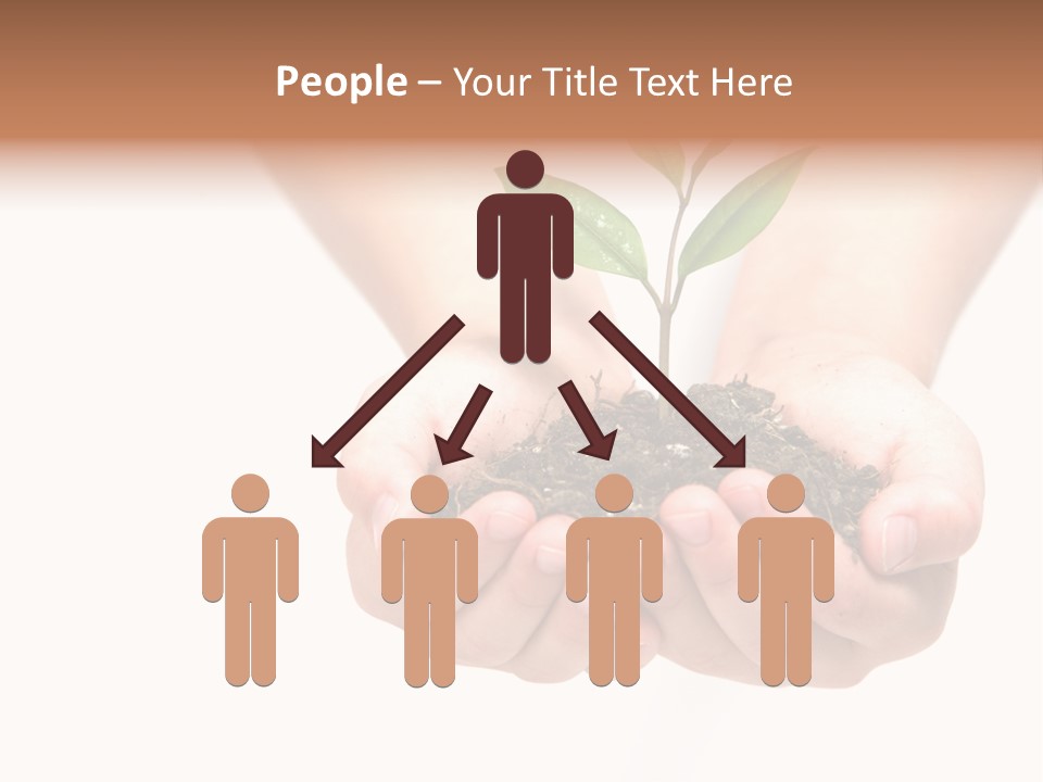 A Person Holding A Small Plant In The Studio PowerPoint Template