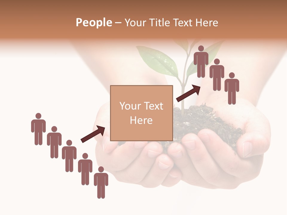 A Person Holding A Small Plant In The Studio PowerPoint Template