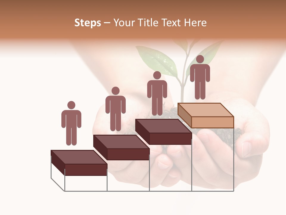 A Person Holding A Small Plant In The Studio PowerPoint Template