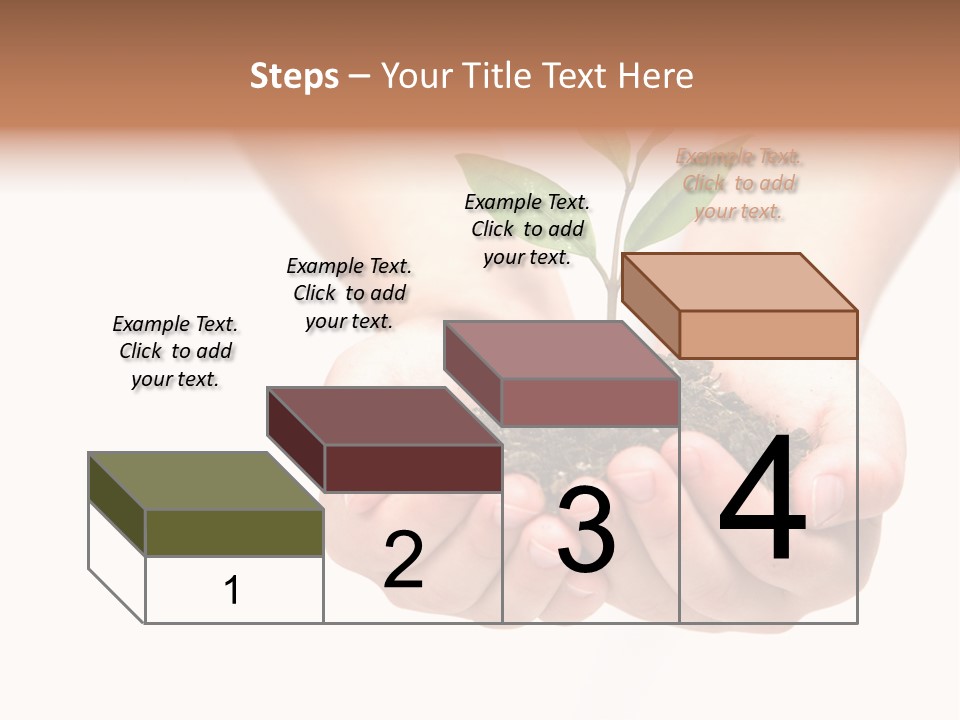 A Person Holding A Small Plant In The Studio PowerPoint Template