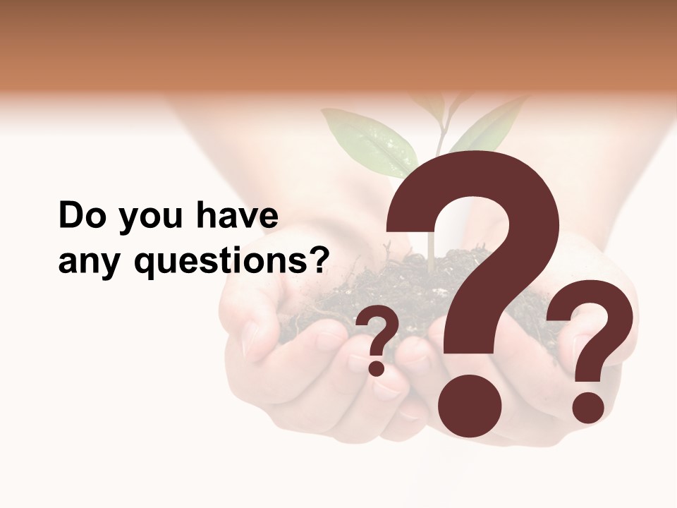 A Person Holding A Small Plant In The Studio PowerPoint Template