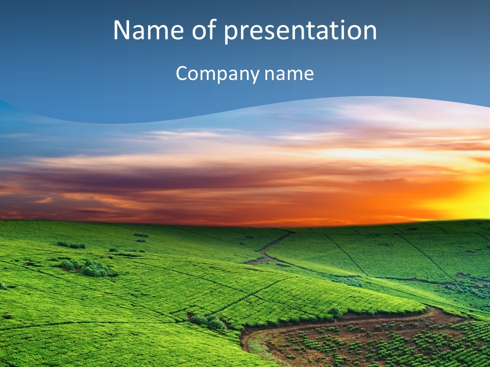 Tea Plantation In Uganda PowerPoint Template