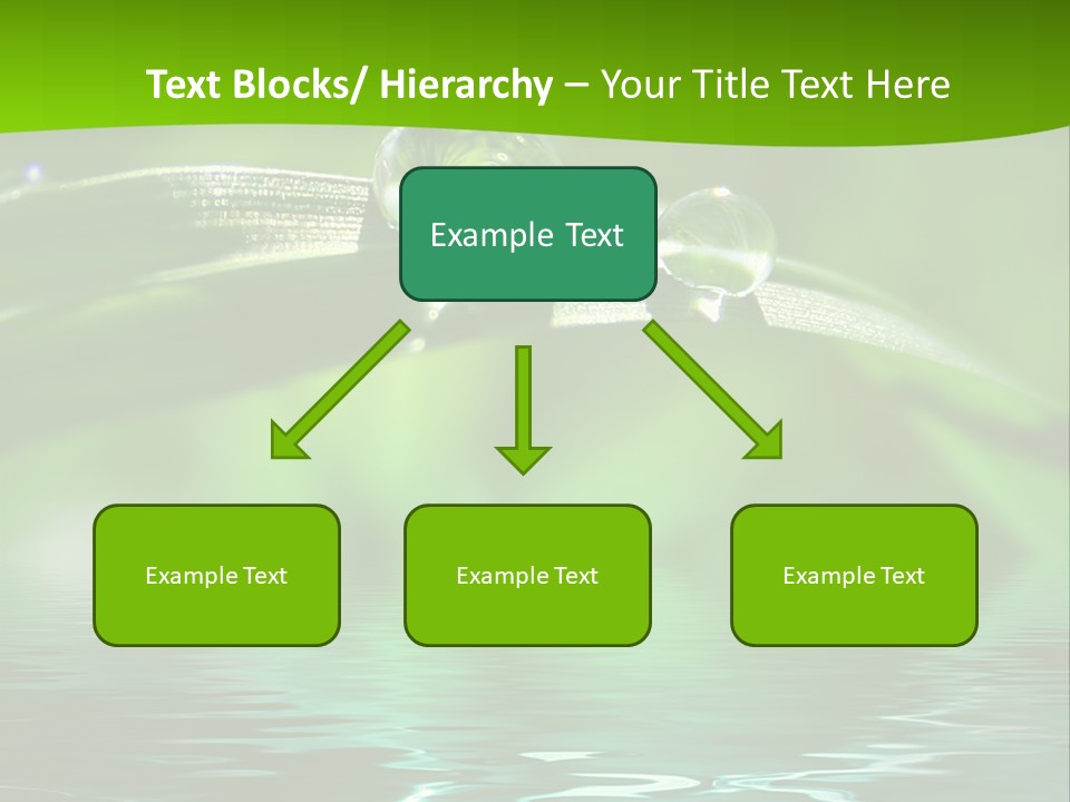 Osteopath, Back Pain PowerPoint Template