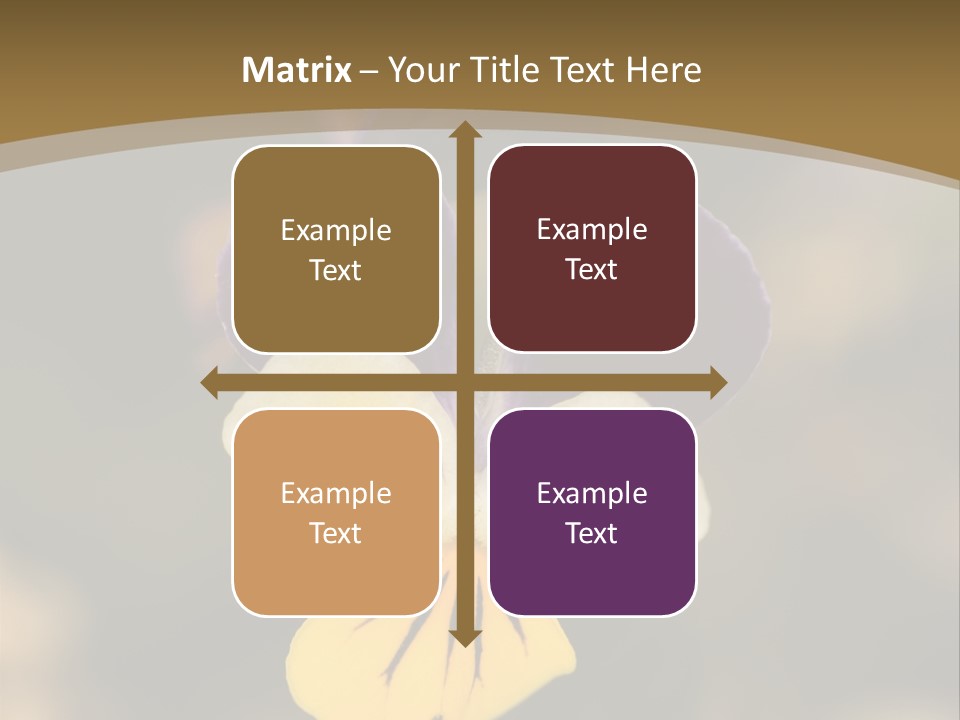 Viola Cornuta PowerPoint Template