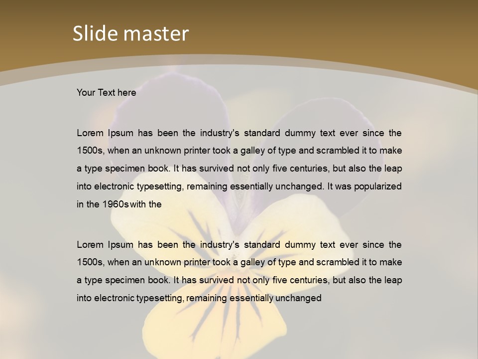 Viola Cornuta PowerPoint Template