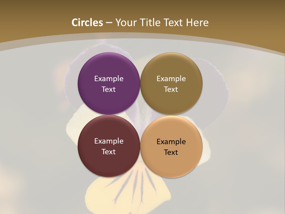 Viola Cornuta PowerPoint Template