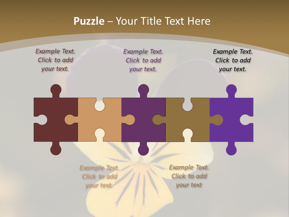 Viola Cornuta PowerPoint Template