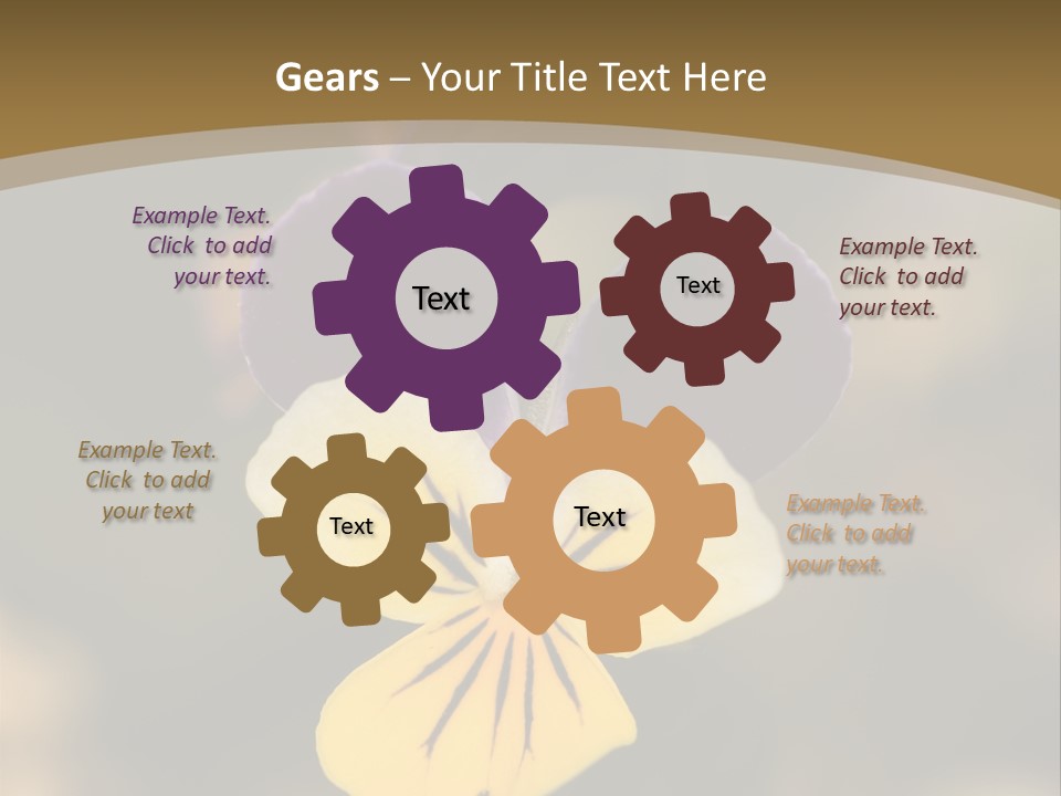 Viola Cornuta PowerPoint Template