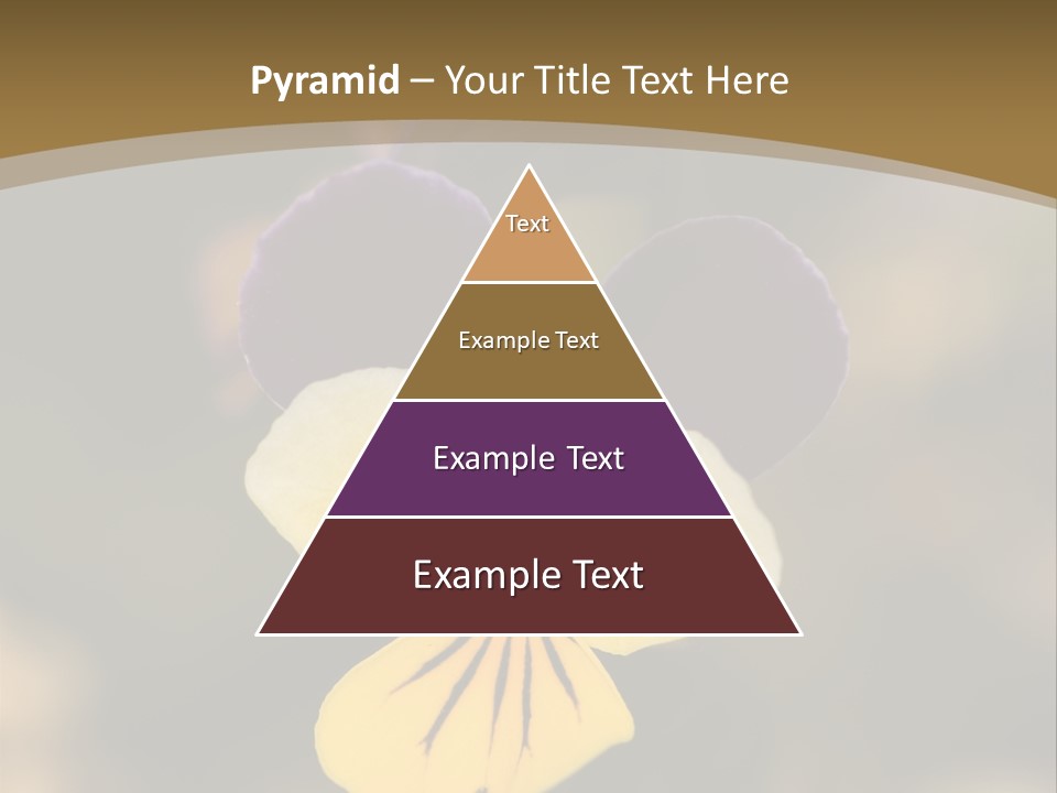 Viola Cornuta PowerPoint Template
