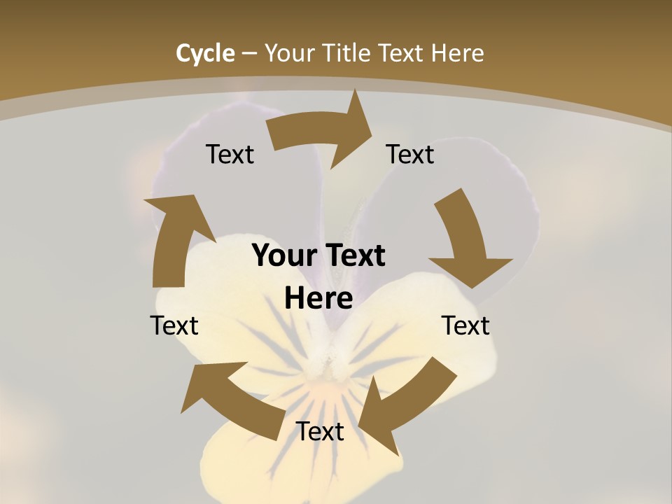 Viola Cornuta PowerPoint Template