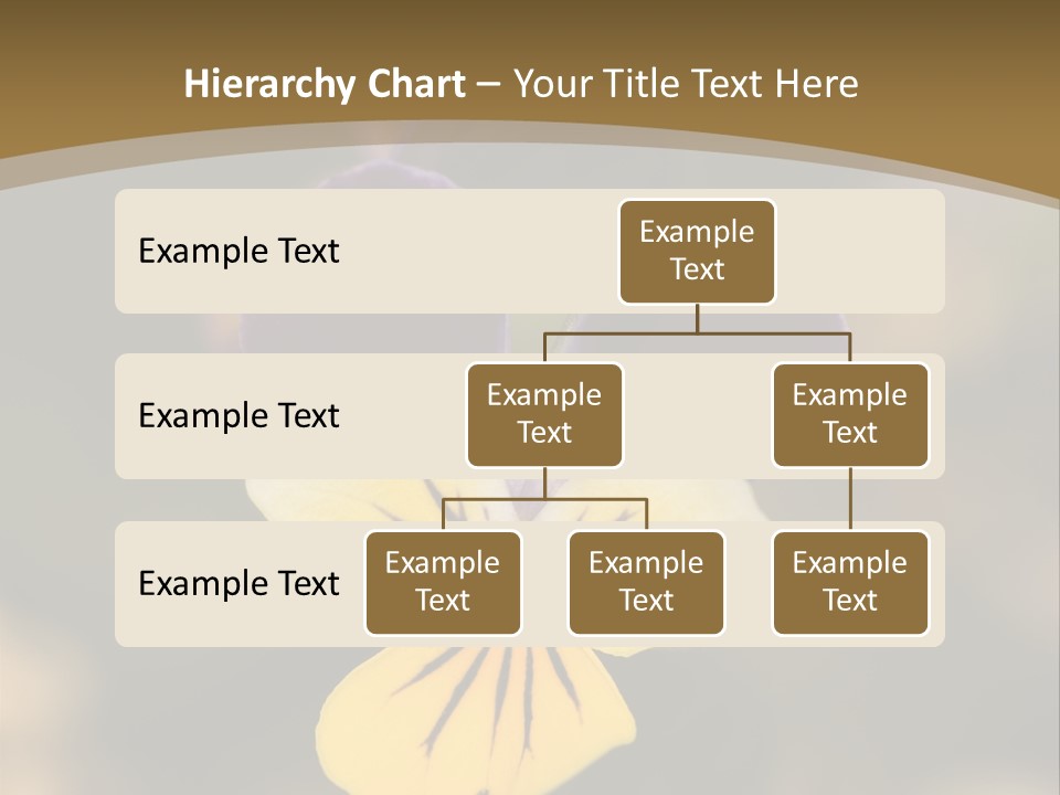 Viola Cornuta PowerPoint Template
