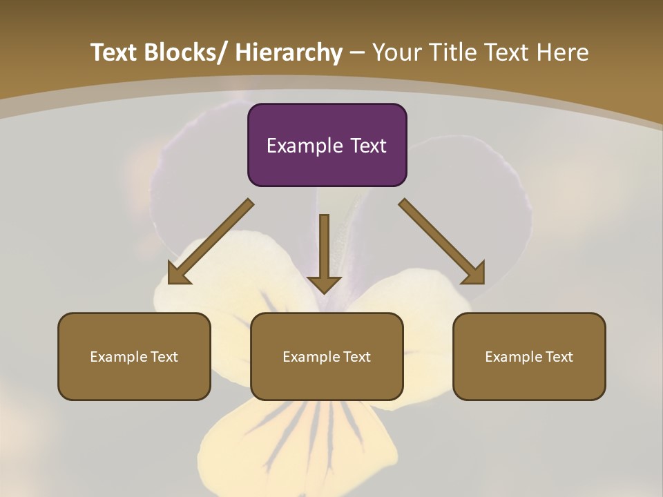 Viola Cornuta PowerPoint Template