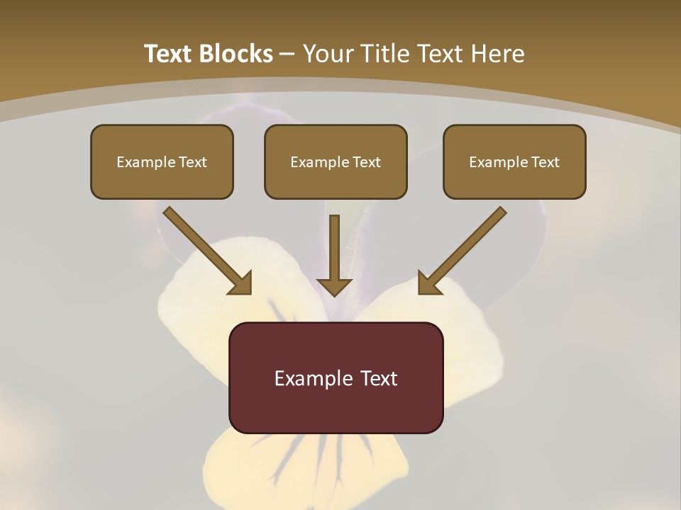 Viola Cornuta PowerPoint Template