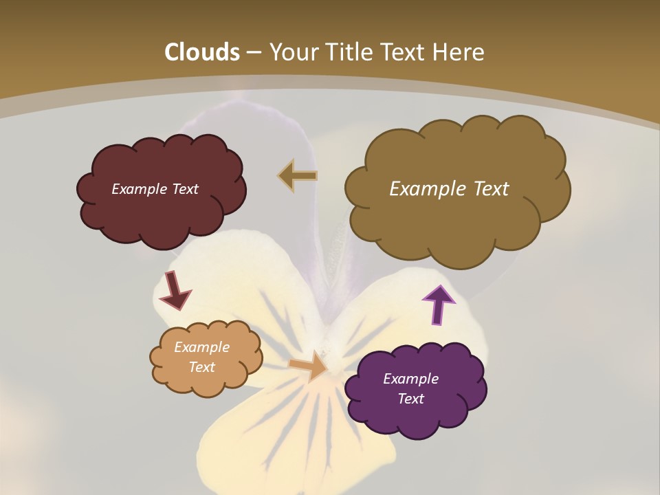 Viola Cornuta PowerPoint Template