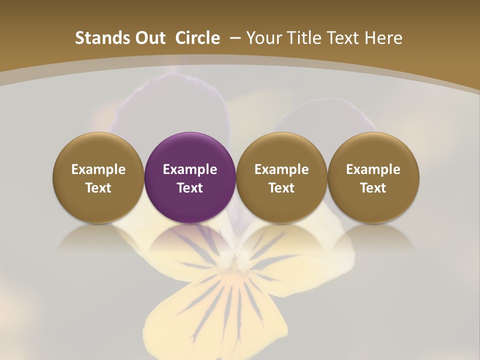 Viola Cornuta PowerPoint Template