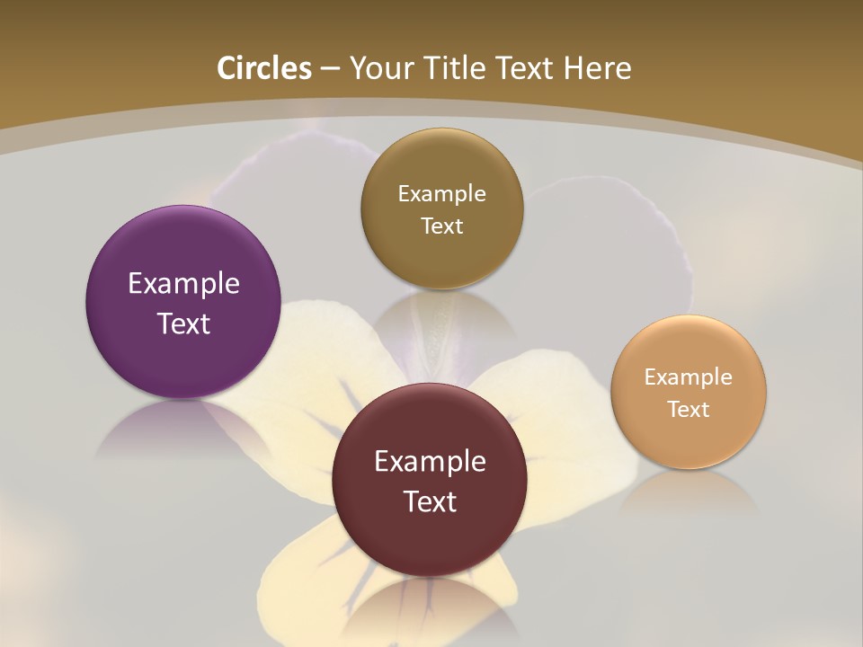 Viola Cornuta PowerPoint Template
