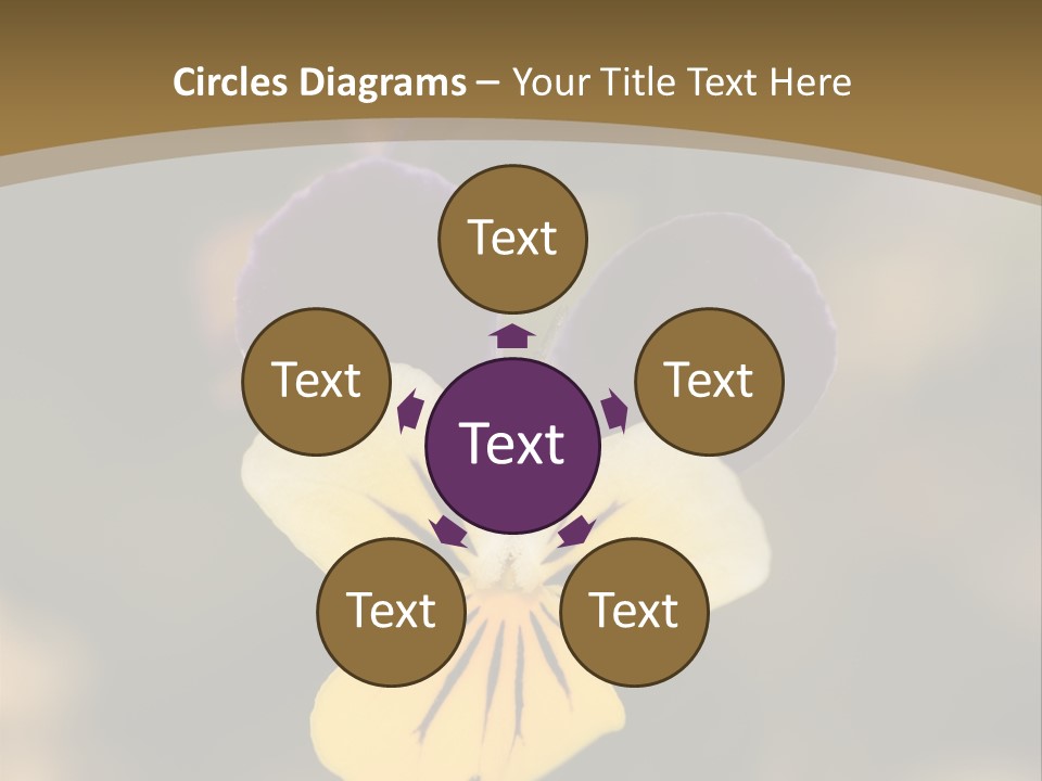 Viola Cornuta PowerPoint Template