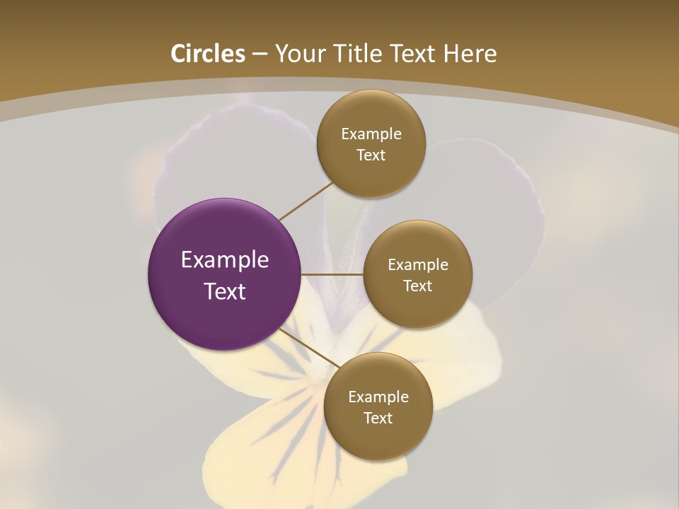 Viola Cornuta PowerPoint Template