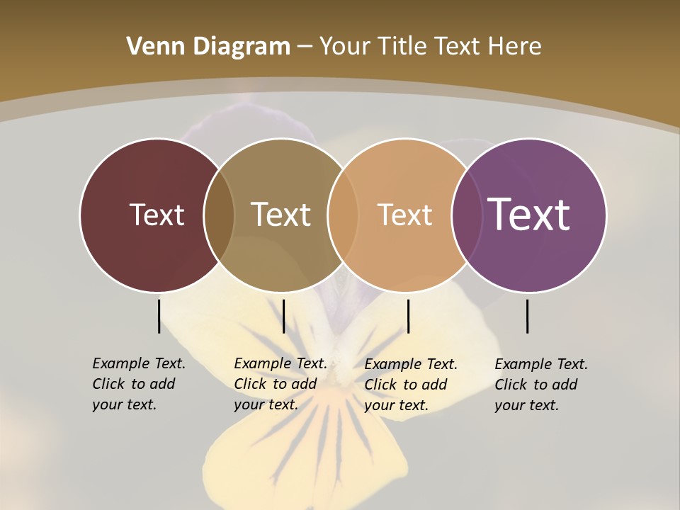 Viola Cornuta PowerPoint Template