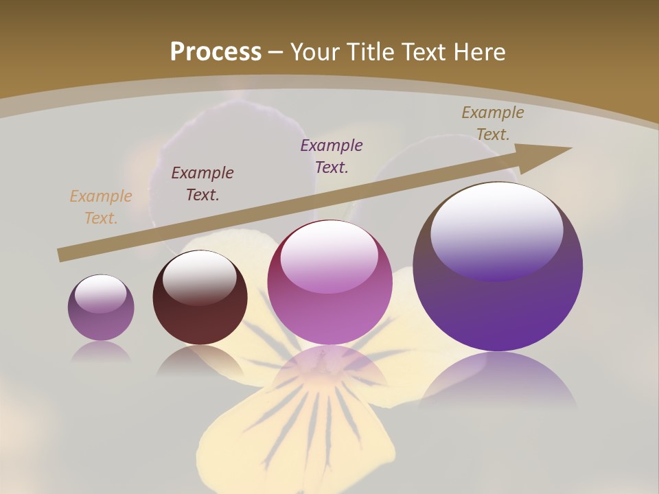 Viola Cornuta PowerPoint Template