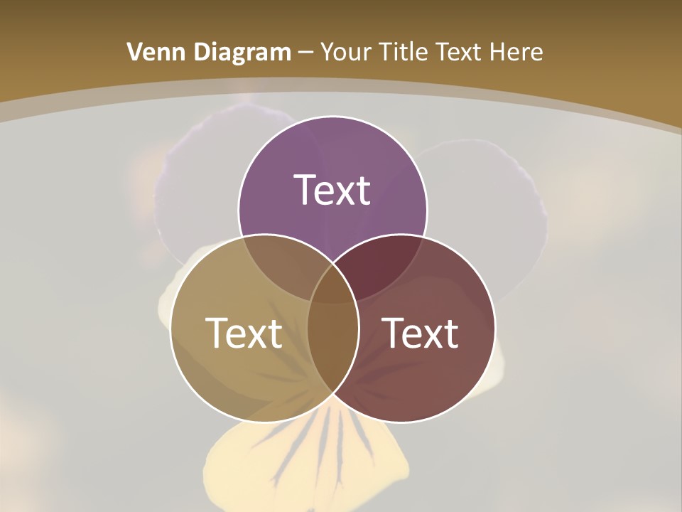 Viola Cornuta PowerPoint Template