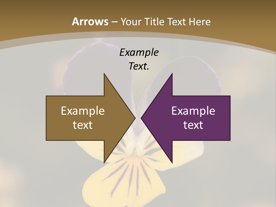 Viola Cornuta PowerPoint Template
