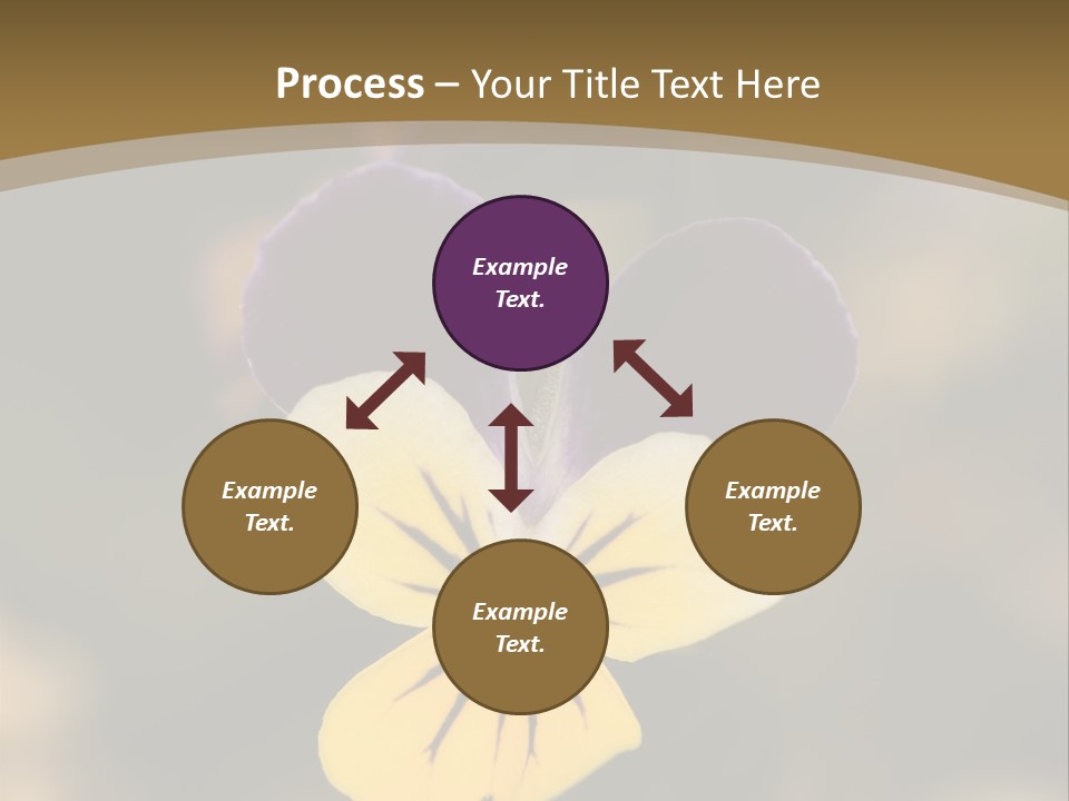 Viola Cornuta PowerPoint Template