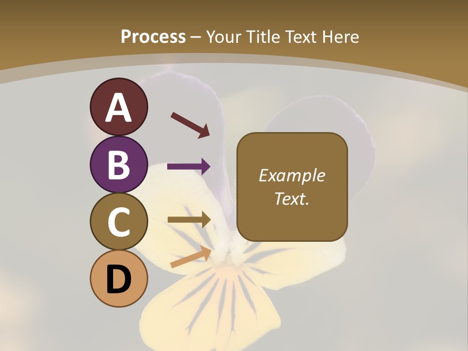 Viola Cornuta PowerPoint Template