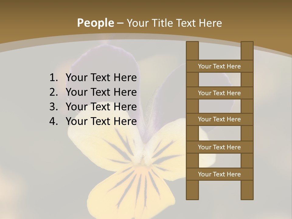Viola Cornuta PowerPoint Template