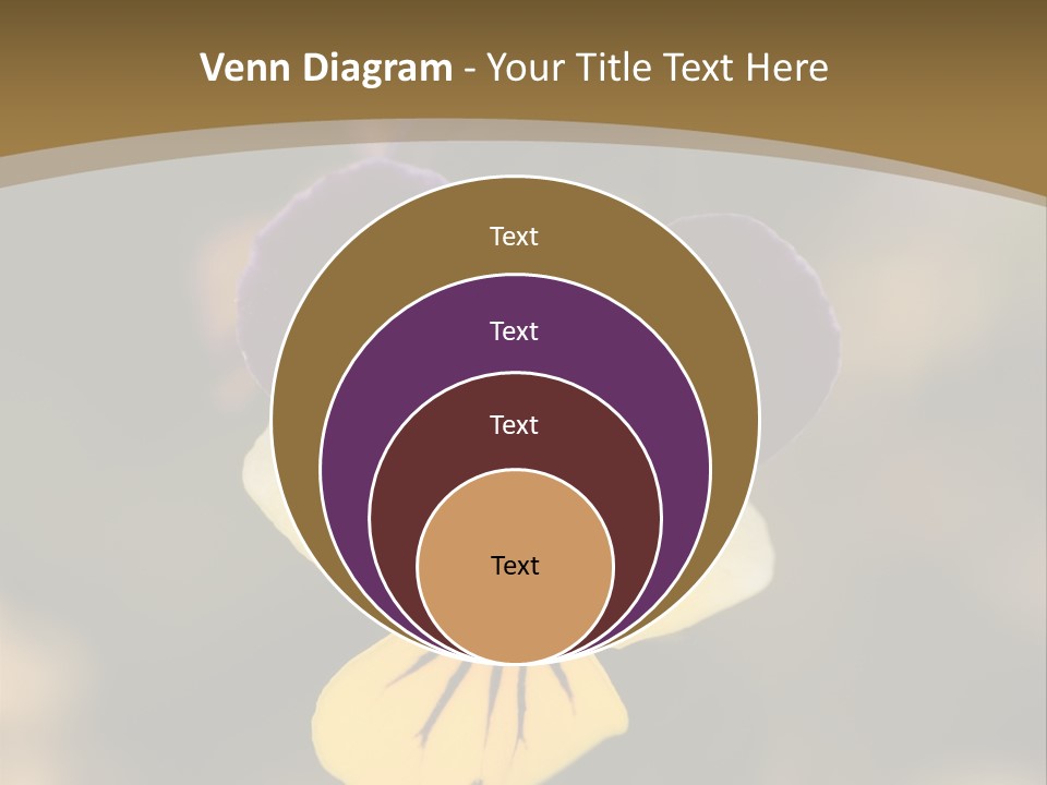 Viola Cornuta PowerPoint Template